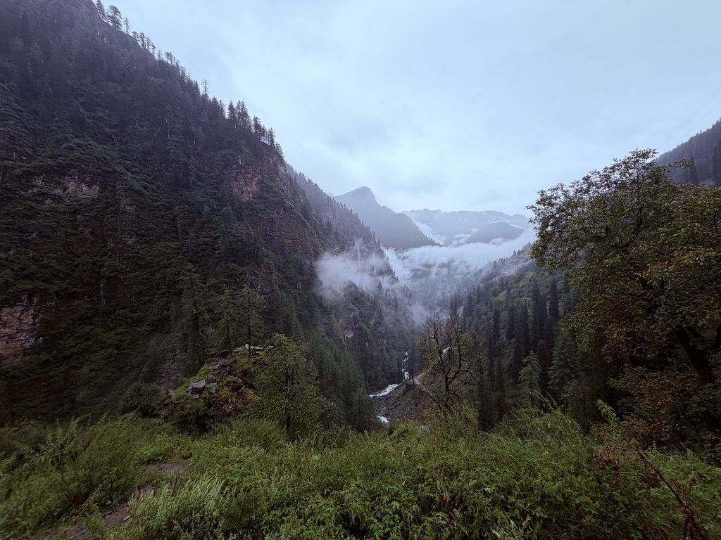 Mist drifting through a forested mountain valley on the trail to Jakha
